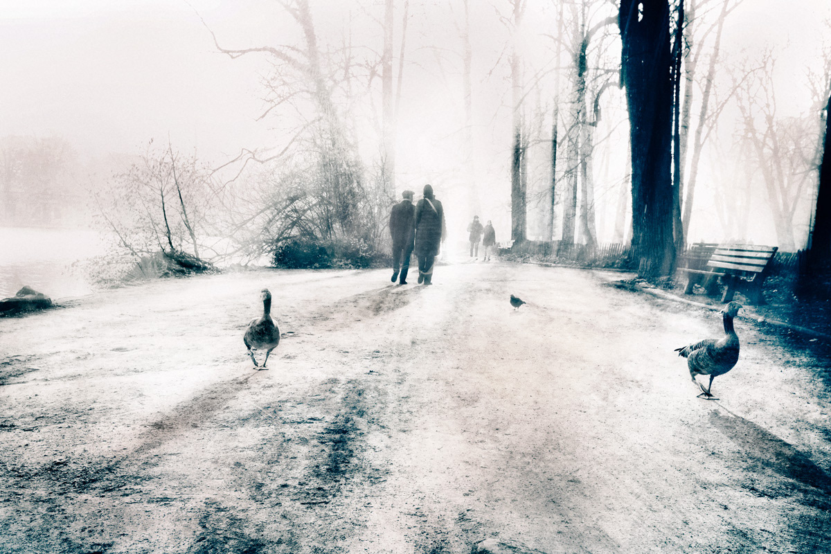 Les intrus