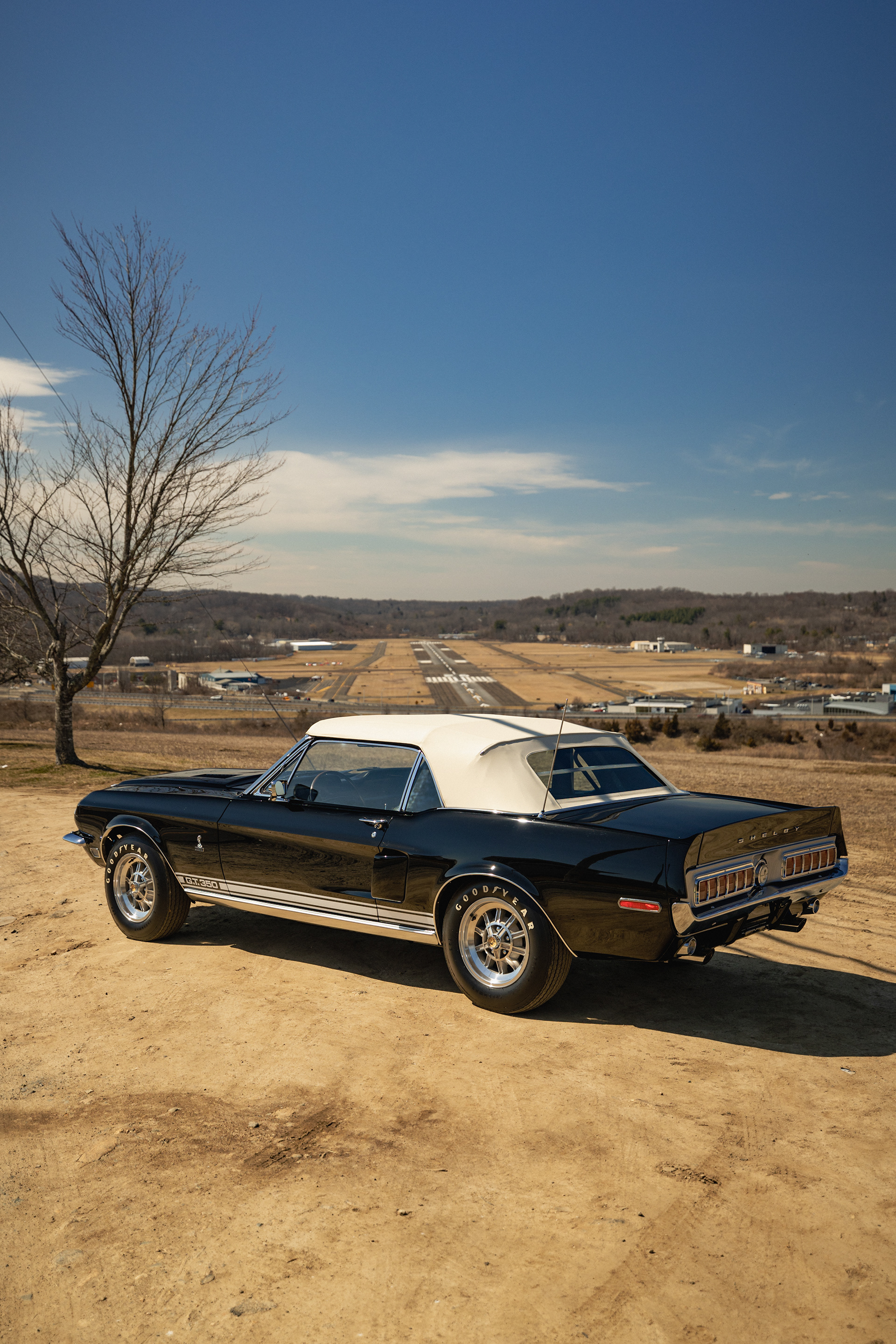 1968 Shelby GT350 Mustang