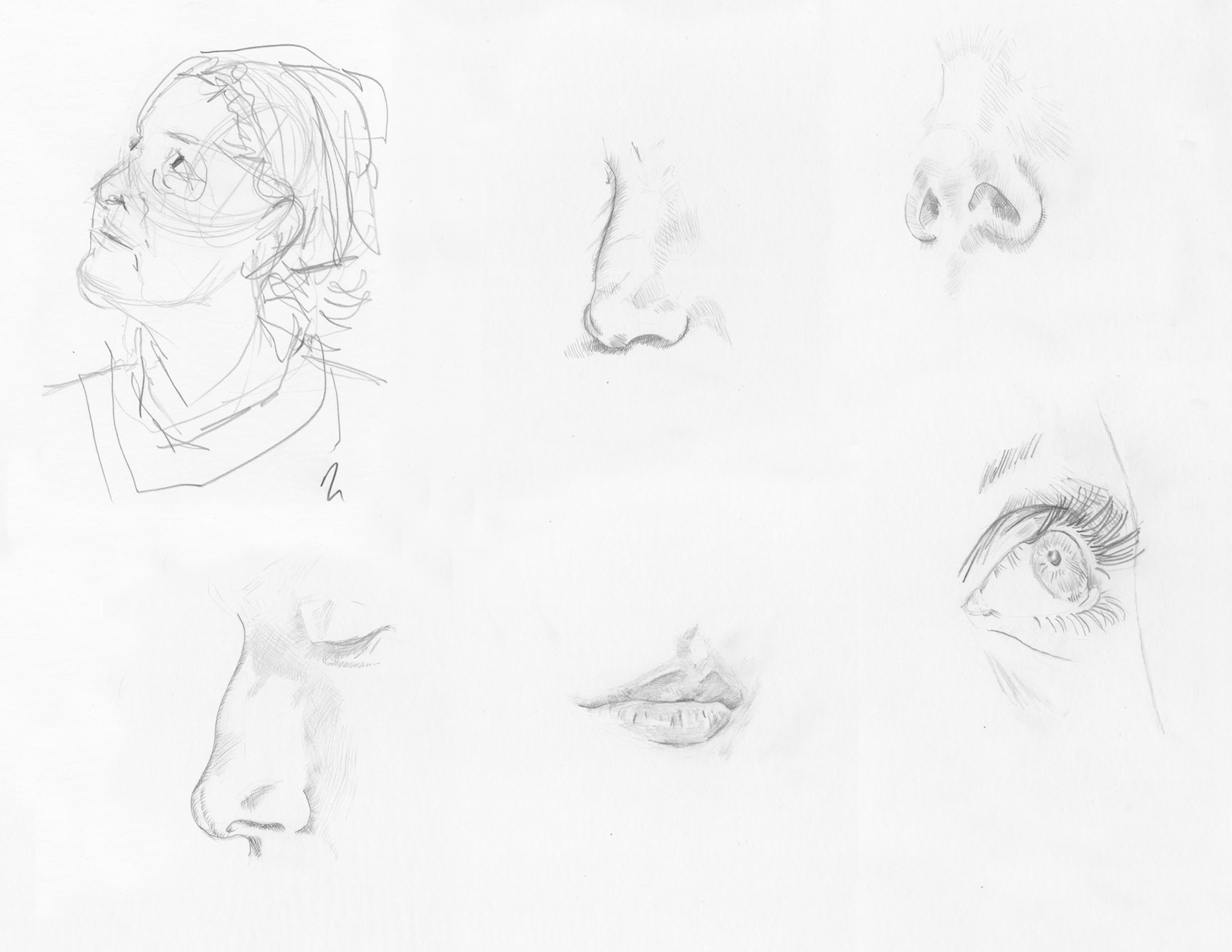 Facial sketches, Hand Made, 2024