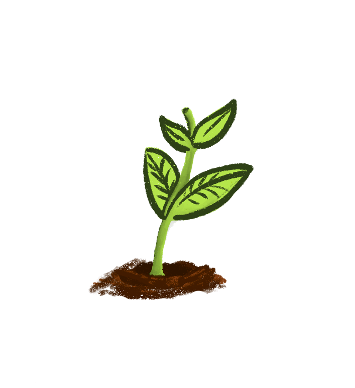 Sprout