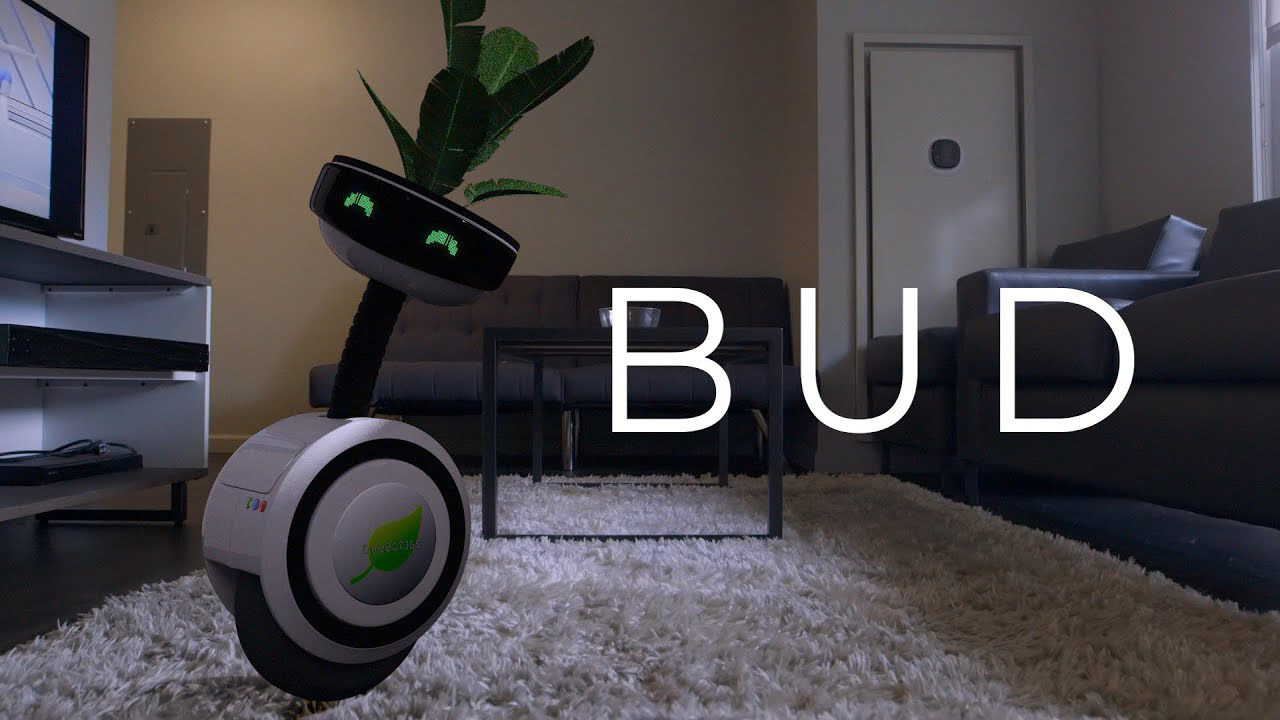 BUD [SHORT FILM]