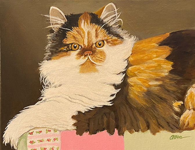 "Calico Persian Cat" 11" x 14" acrylic on canvas (2022)