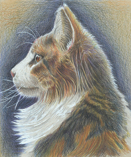 9" x 7" colored pencils (2022)