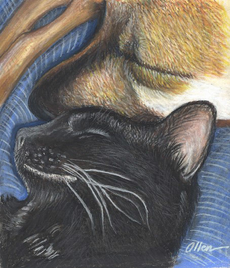 8" x 10" Pitt pastel pencils (2022)