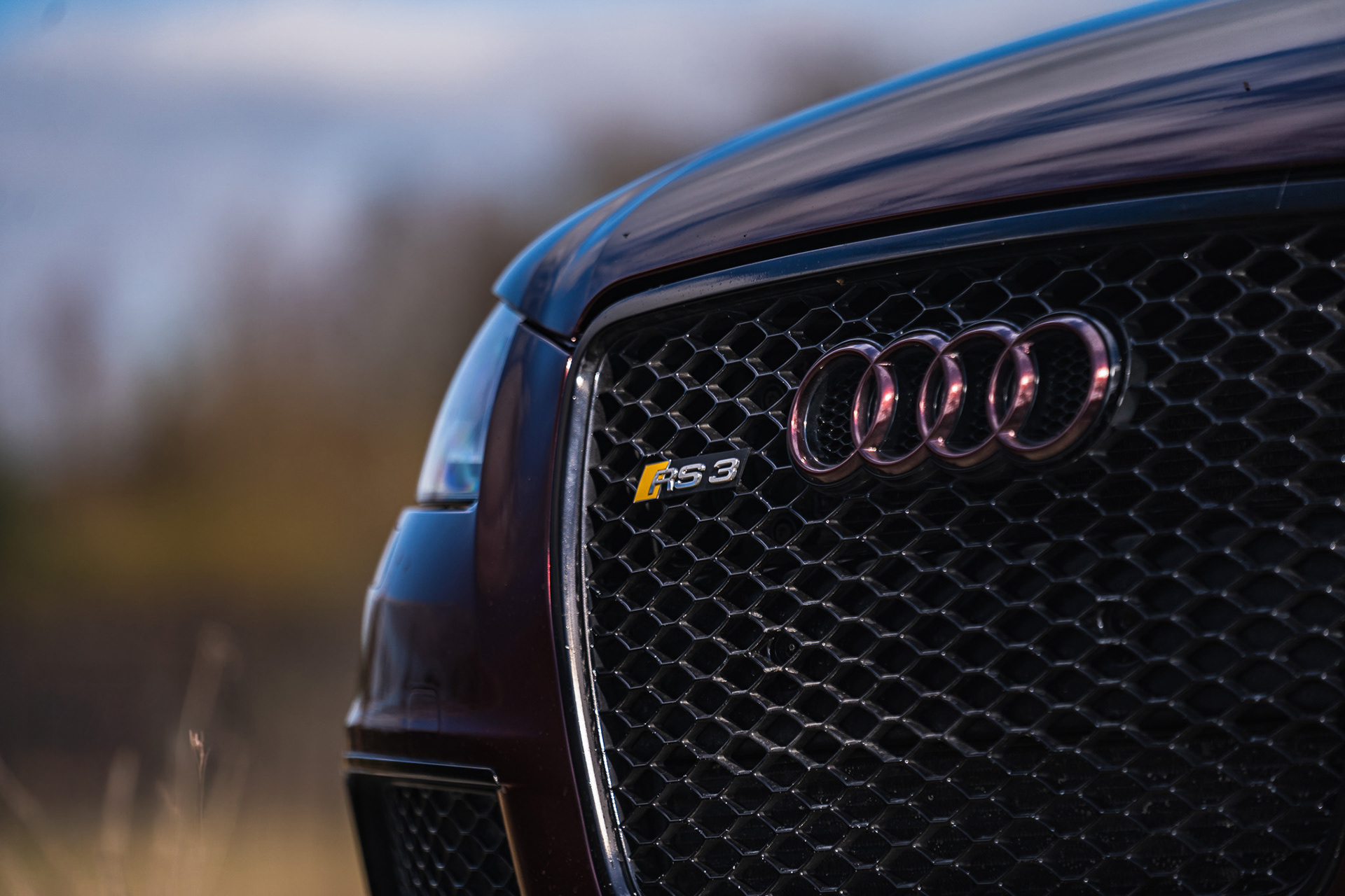 Close-up of Audi RS3 front grille with badge and honeycomb detail