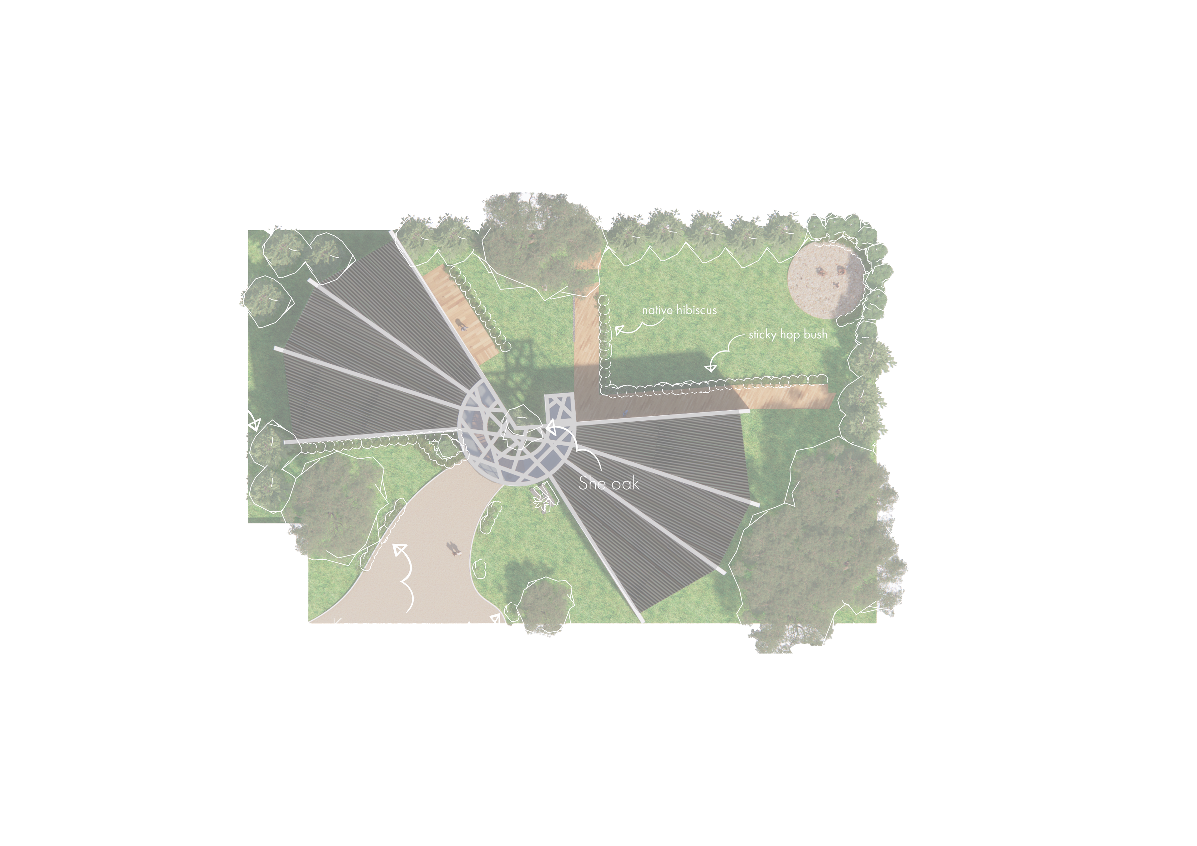 All Australian Vegitation used around the cite that are native to the Wurundjeri People of the Kulin Nation