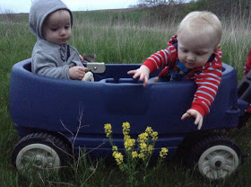 I'm Daniel and I am the keeper of the land. I have done a little bit of everything in my life. I've been a Park Ranger in Yellowstone and Glacier National Parks, I've taught social skills to at- risk youth with Boys Town. I love growing gardens and creating art. When I was teaching at- risk youth social skills I was creating a community garden. When I was a Park Ranger I was using my free time to pick huckleberries on the highline trail hoping a bear wasn't going to eat me.