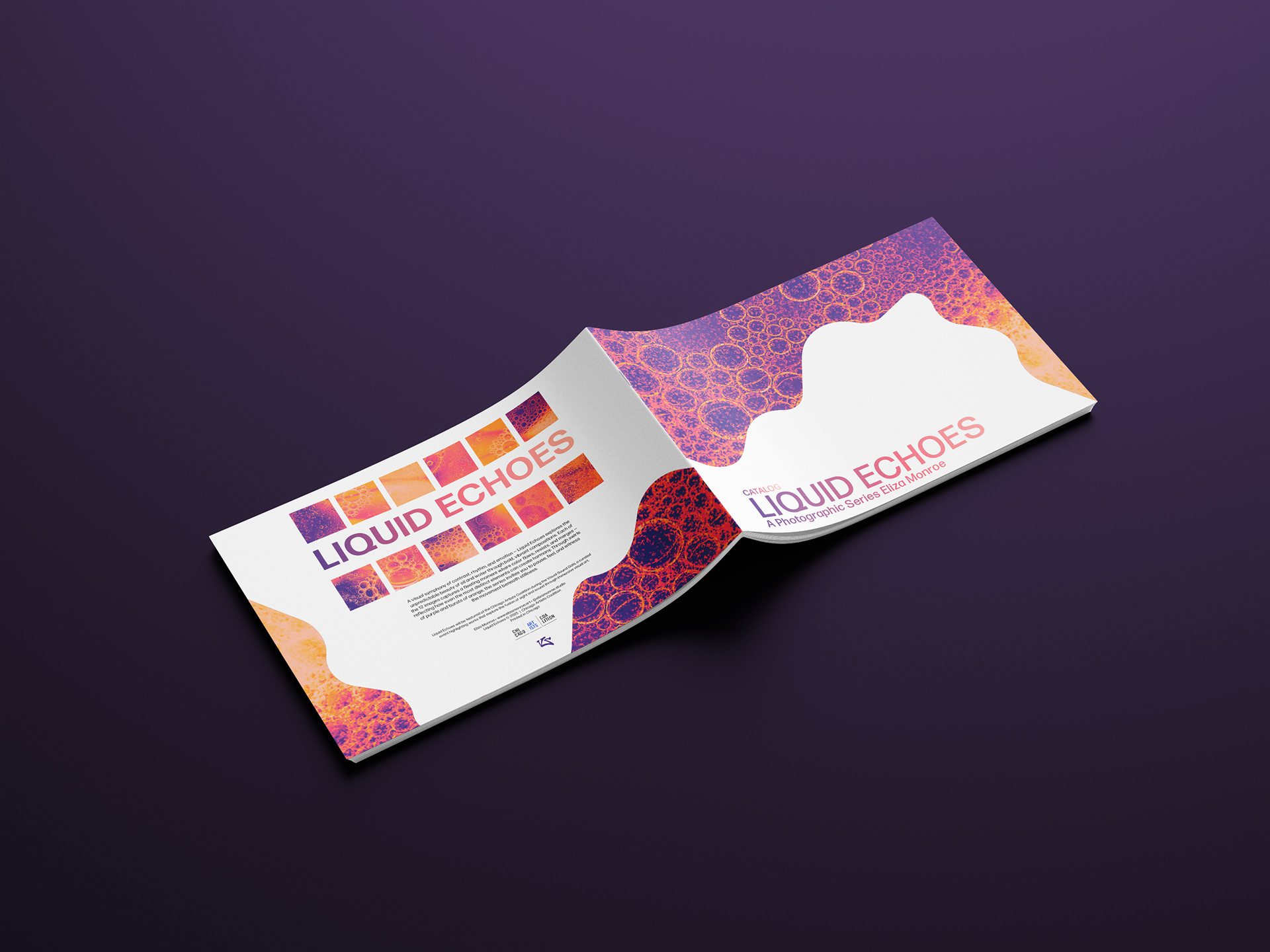 Liquid Echoes Catalog Front and Back