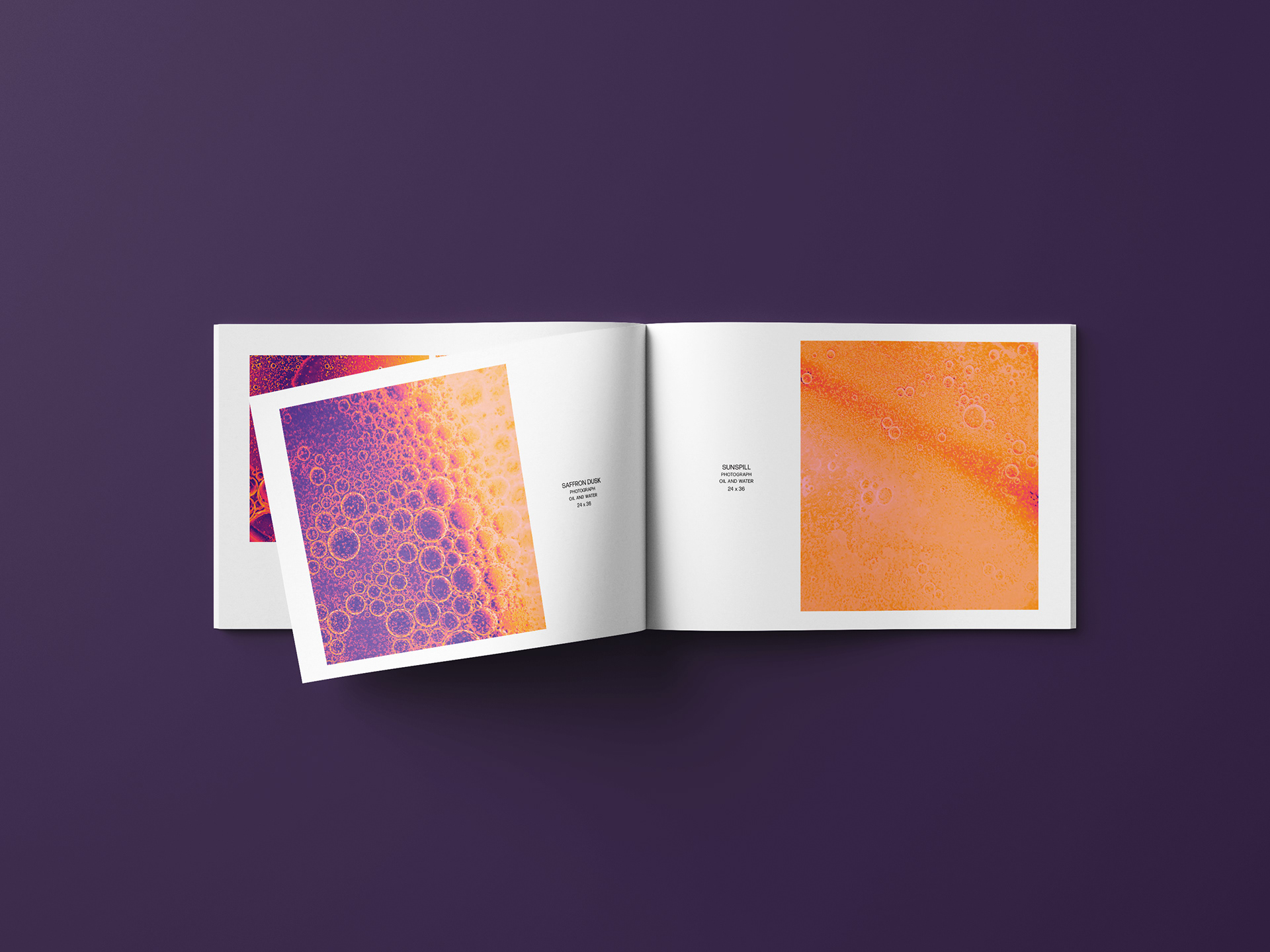 Fifth Spread