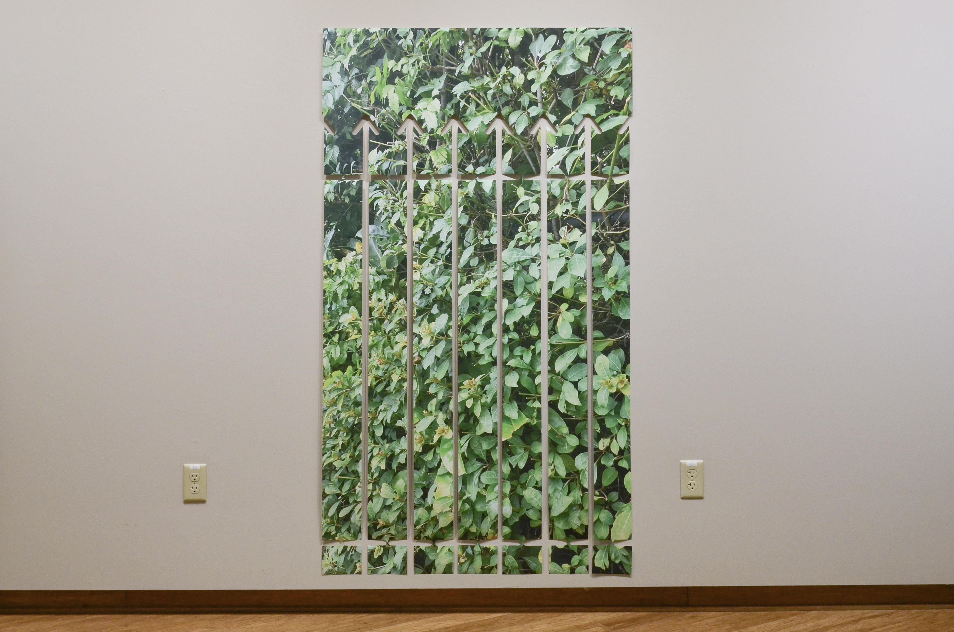 A large format photograph of a tall ficus shrub, with a negative space of fence cut out. The print is hanging off the wall, and the spacing between the fence allows the different segments of the fence to flow with the ambient wind.
