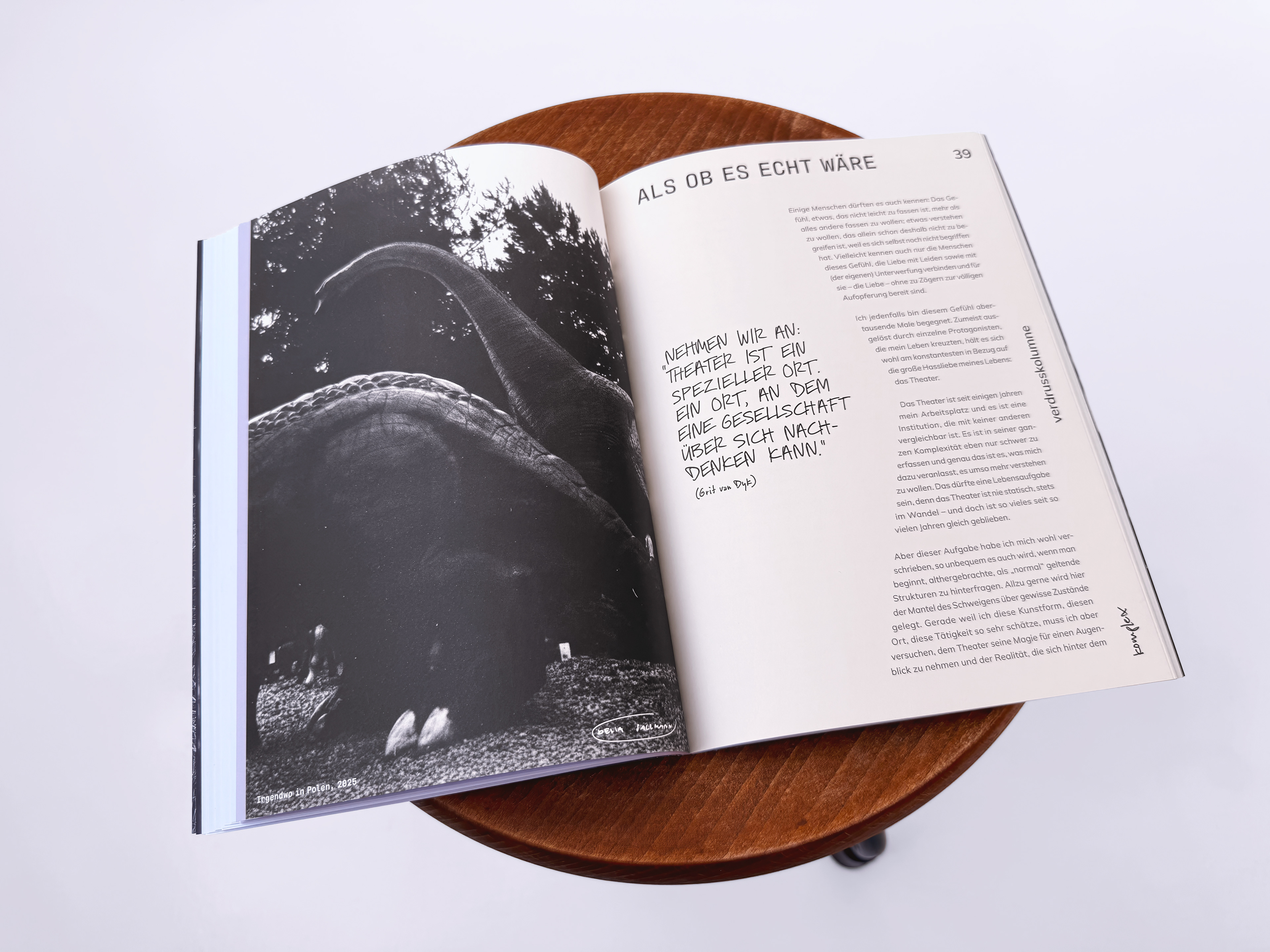 Detailed editorial layout from komplex art magazine [Verdrusskolumne part 1] showing experimental layout, custom lettering, and clean sans-serif Mulish typography.