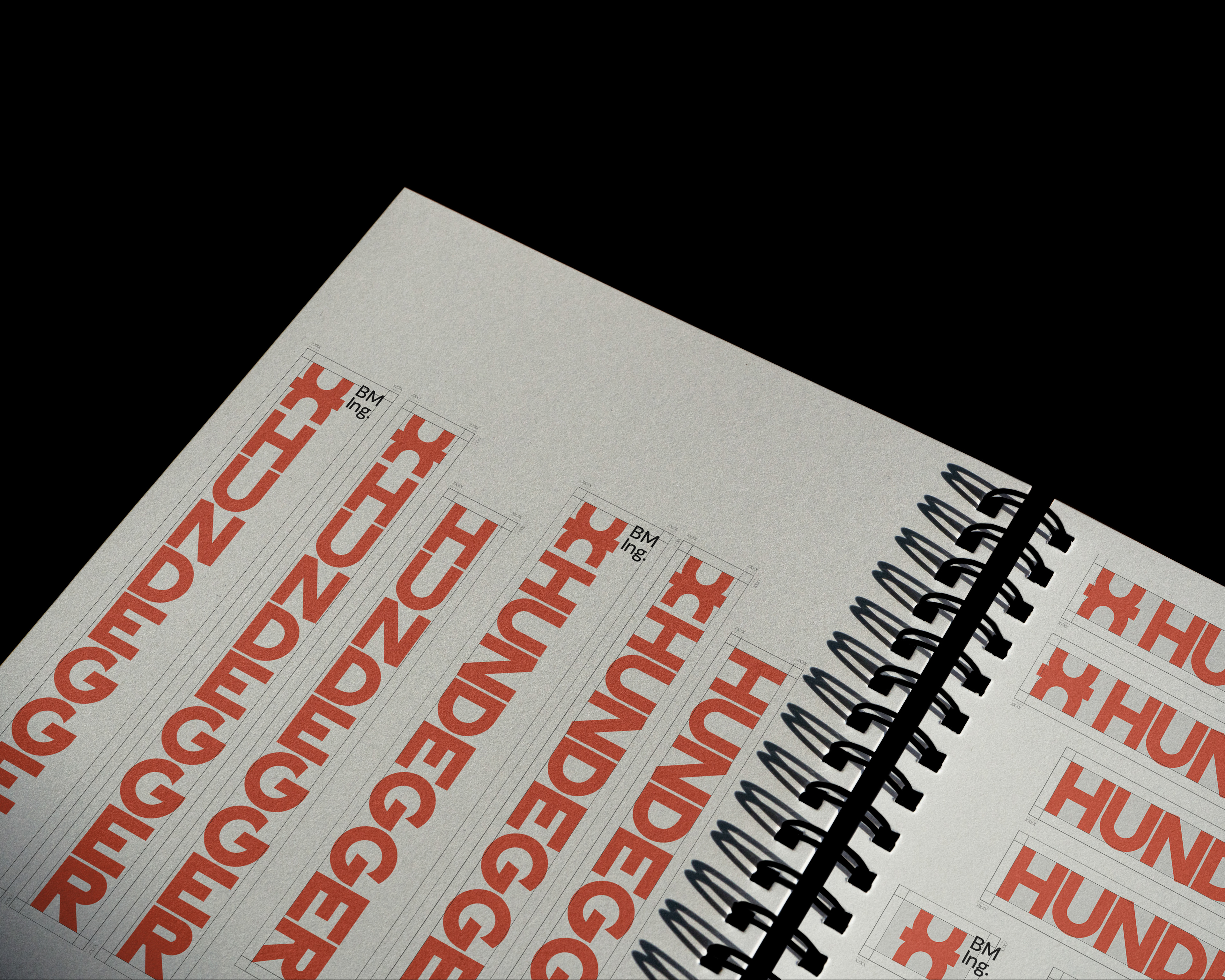 Baumeister Ing. Hundegger logo design