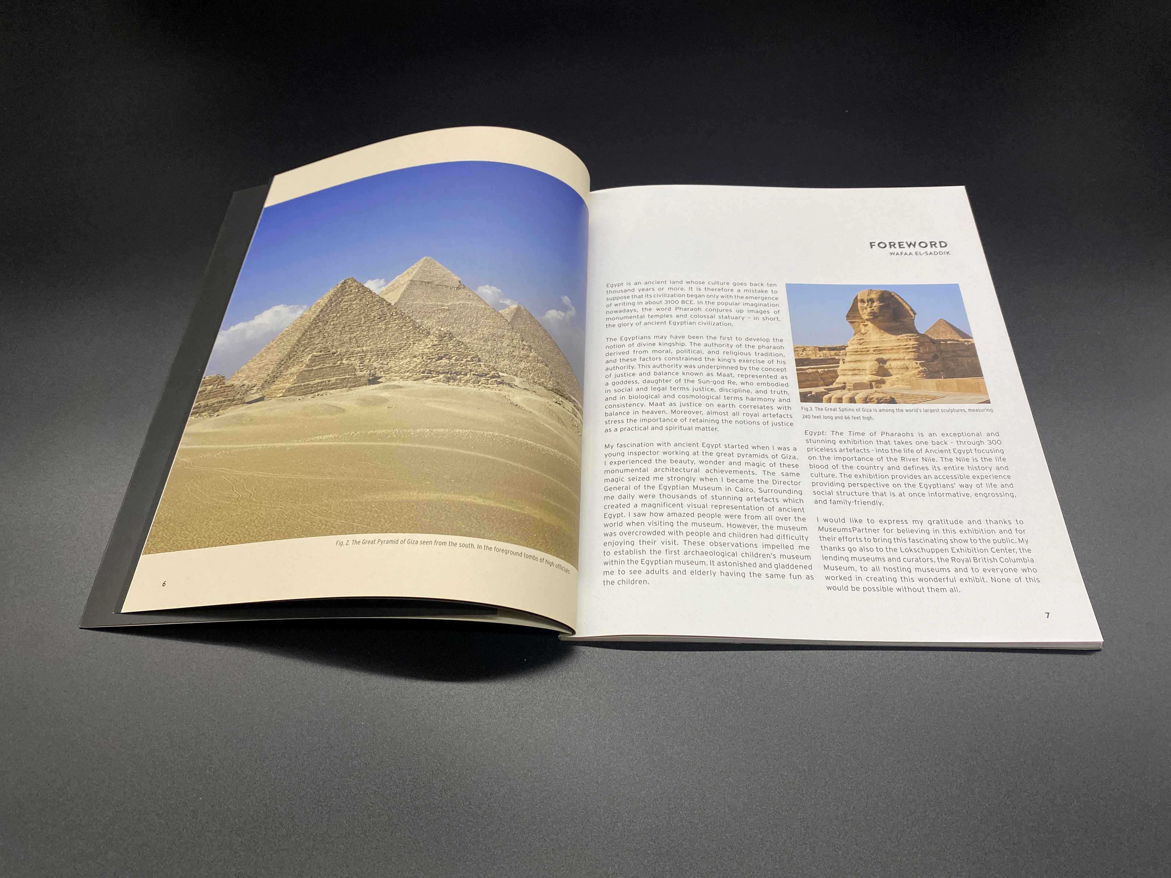 Wafaa El Saddik foreword
