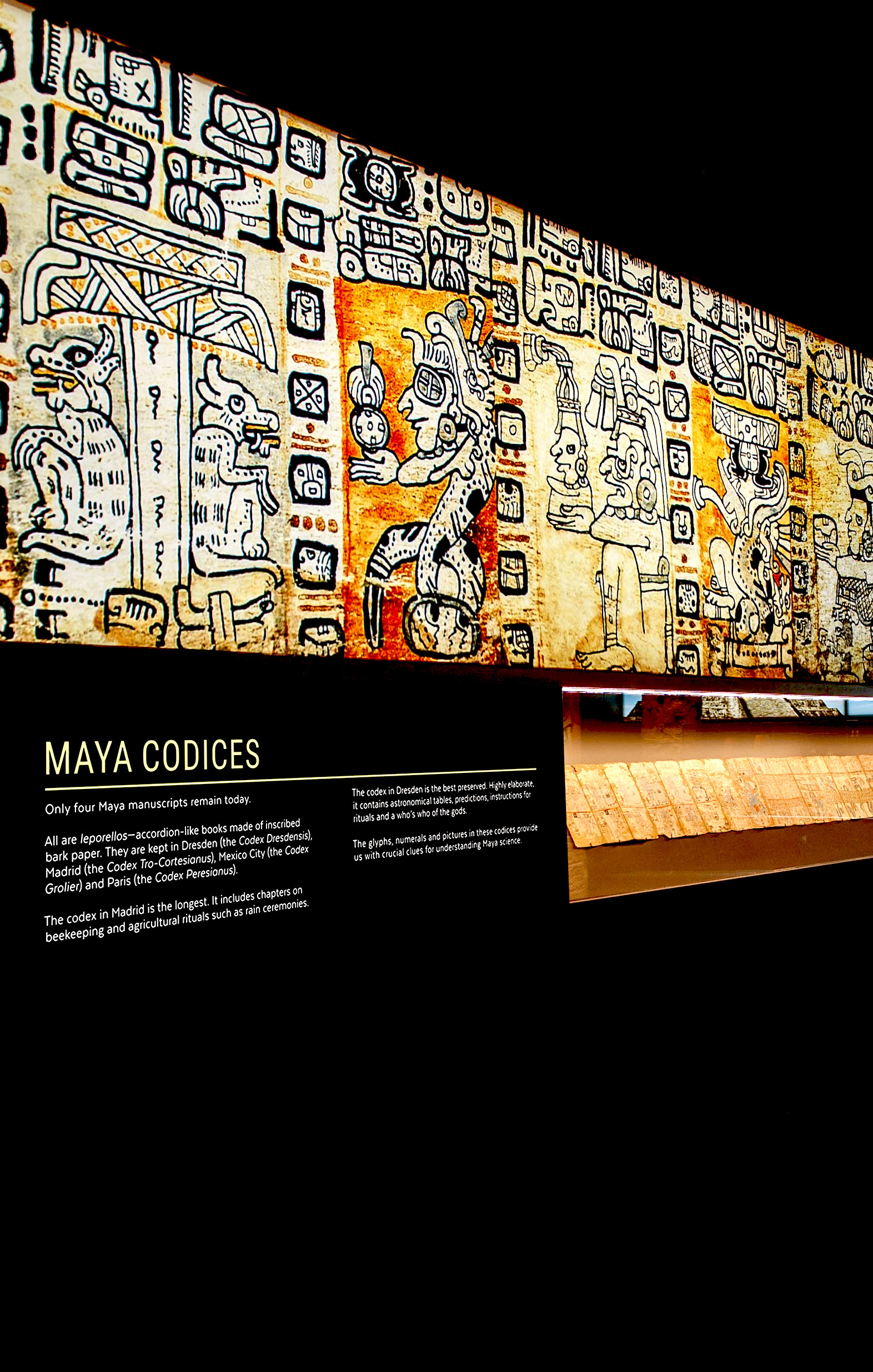Large-scale backlit fabric display showcasing a Maya codex reconstruction, providing a high-contrast, luminous backdrop for artifacts.