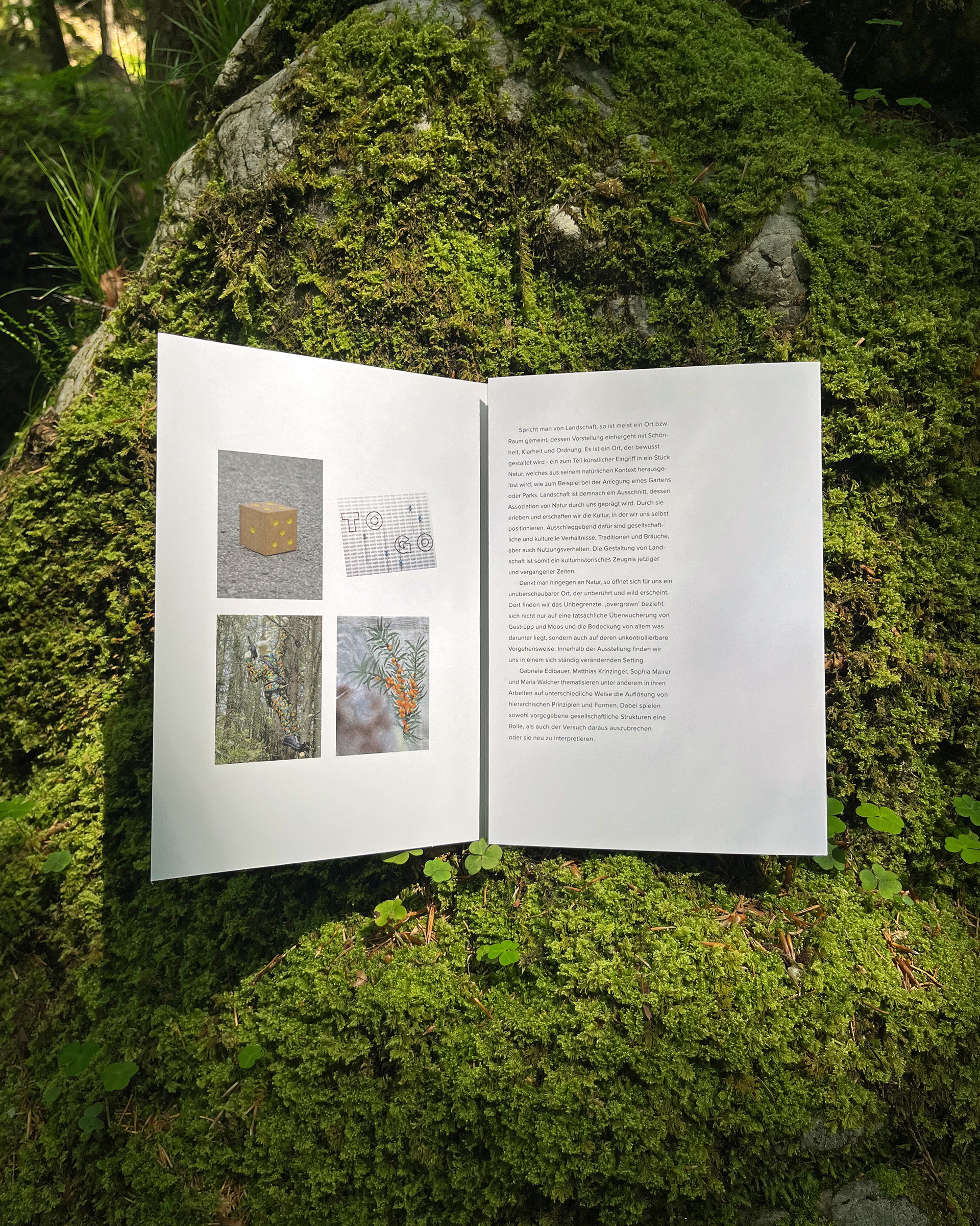 overgrown ausstellung buchen telfs