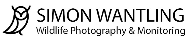 simon wantling