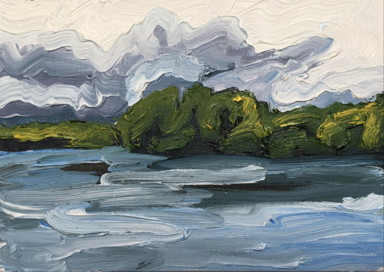 Lake Muskoka, A Little Bit of Everything, oil on somerset, 30 X 44", 2014