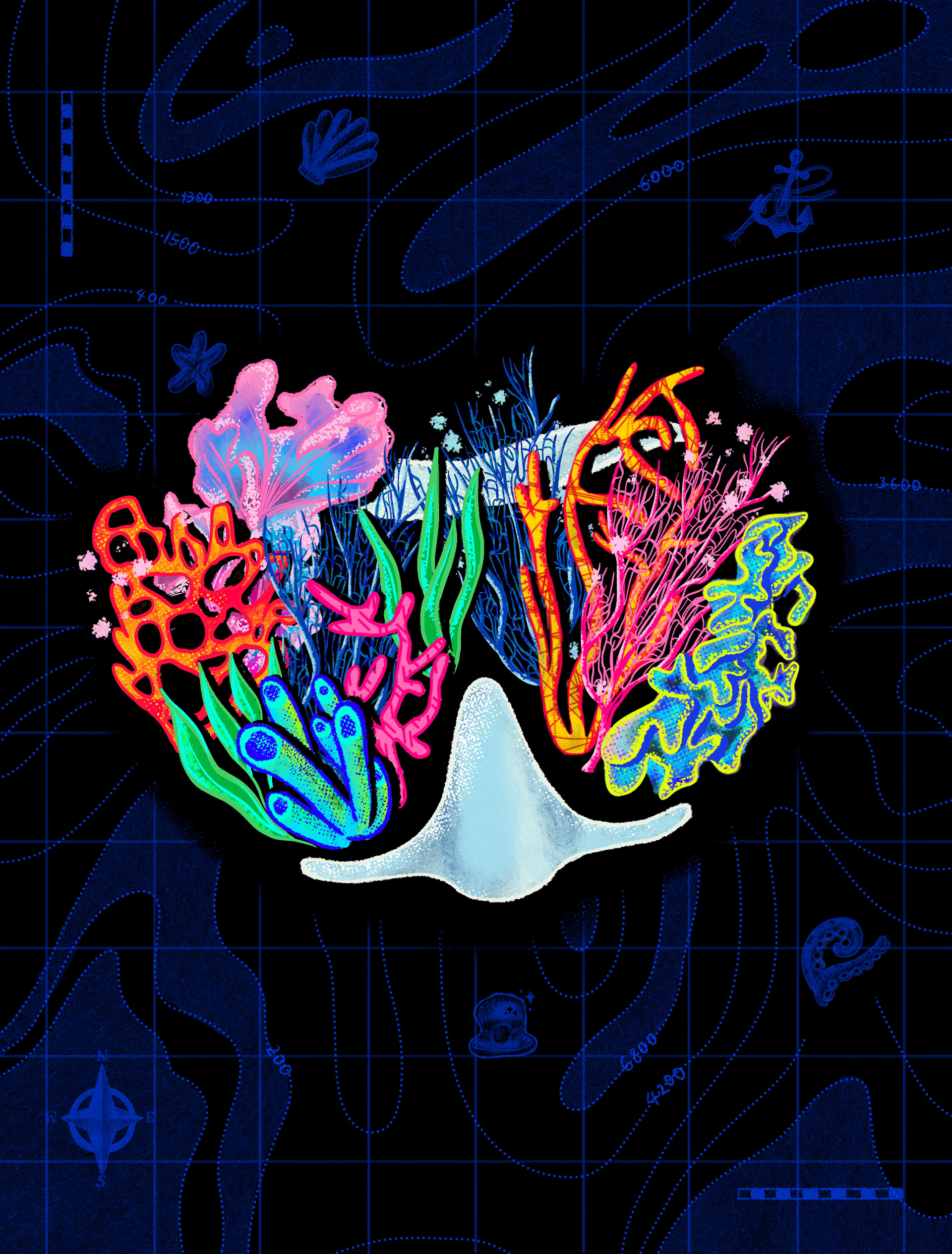 2026 (Coral for Australian Geographic #191)