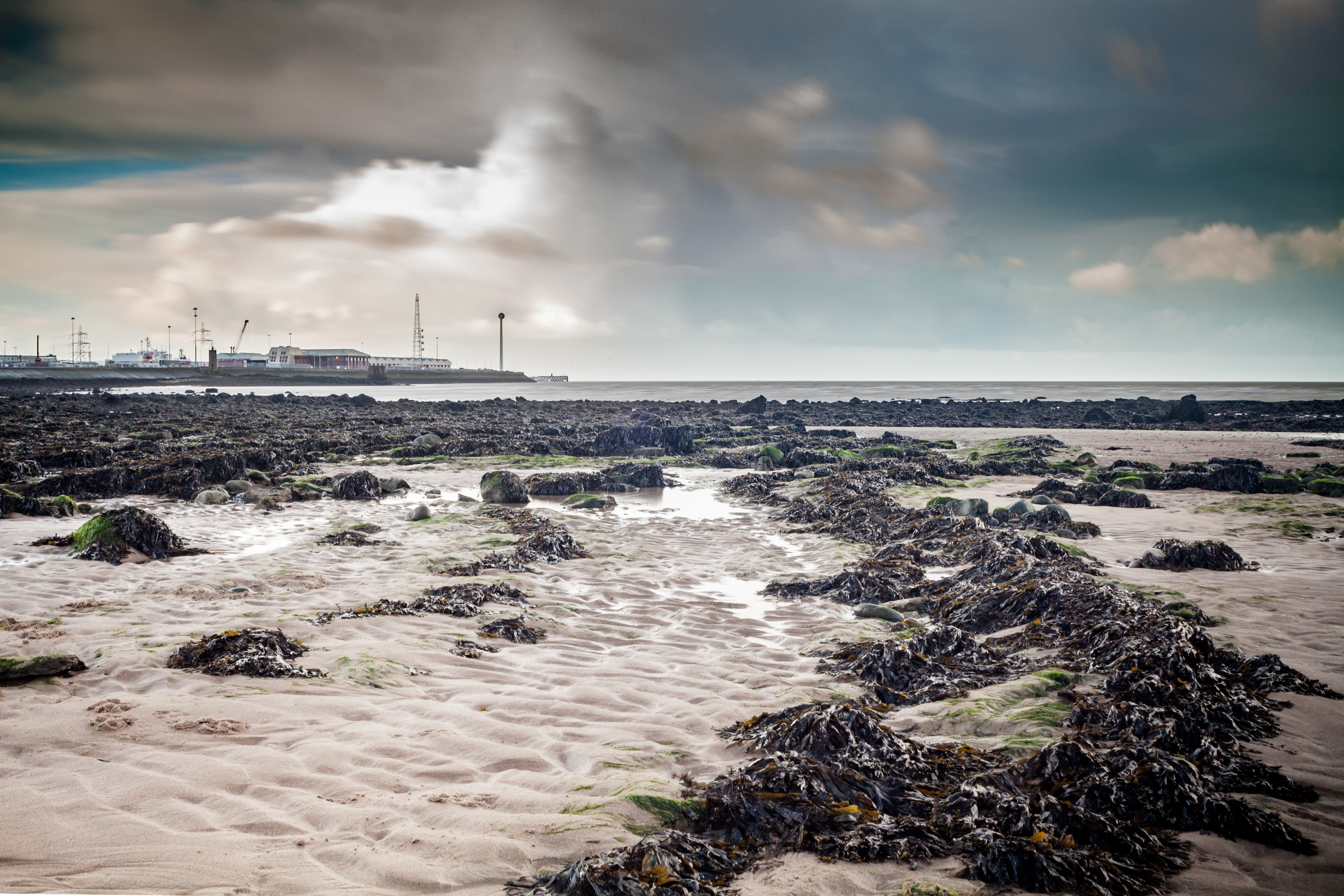 Seaweed at Halfmoon Bay