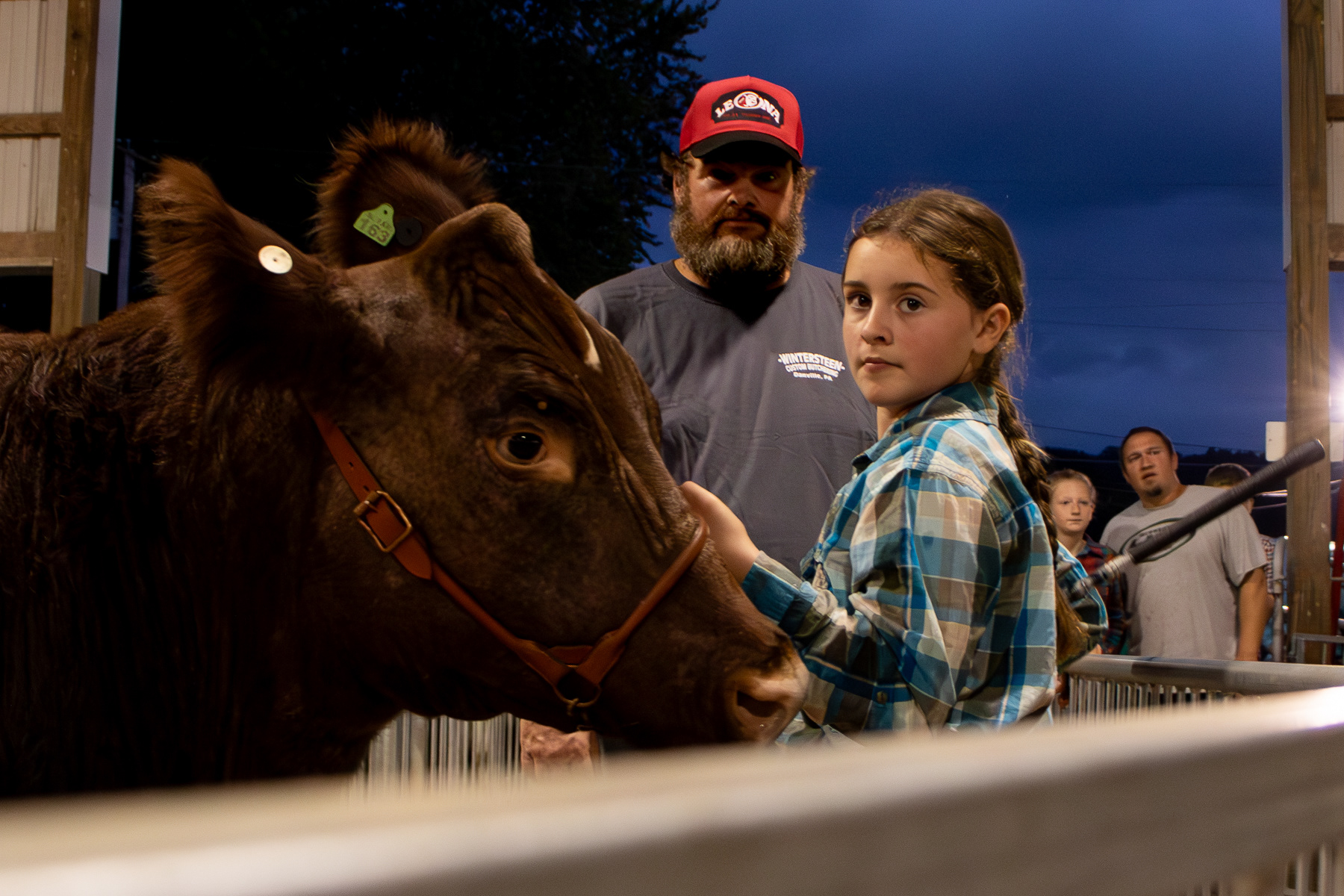 Brenna shows her steer, Alvin at the livestock auction. Alvin placed fourth in his weight class and sold for $3000.