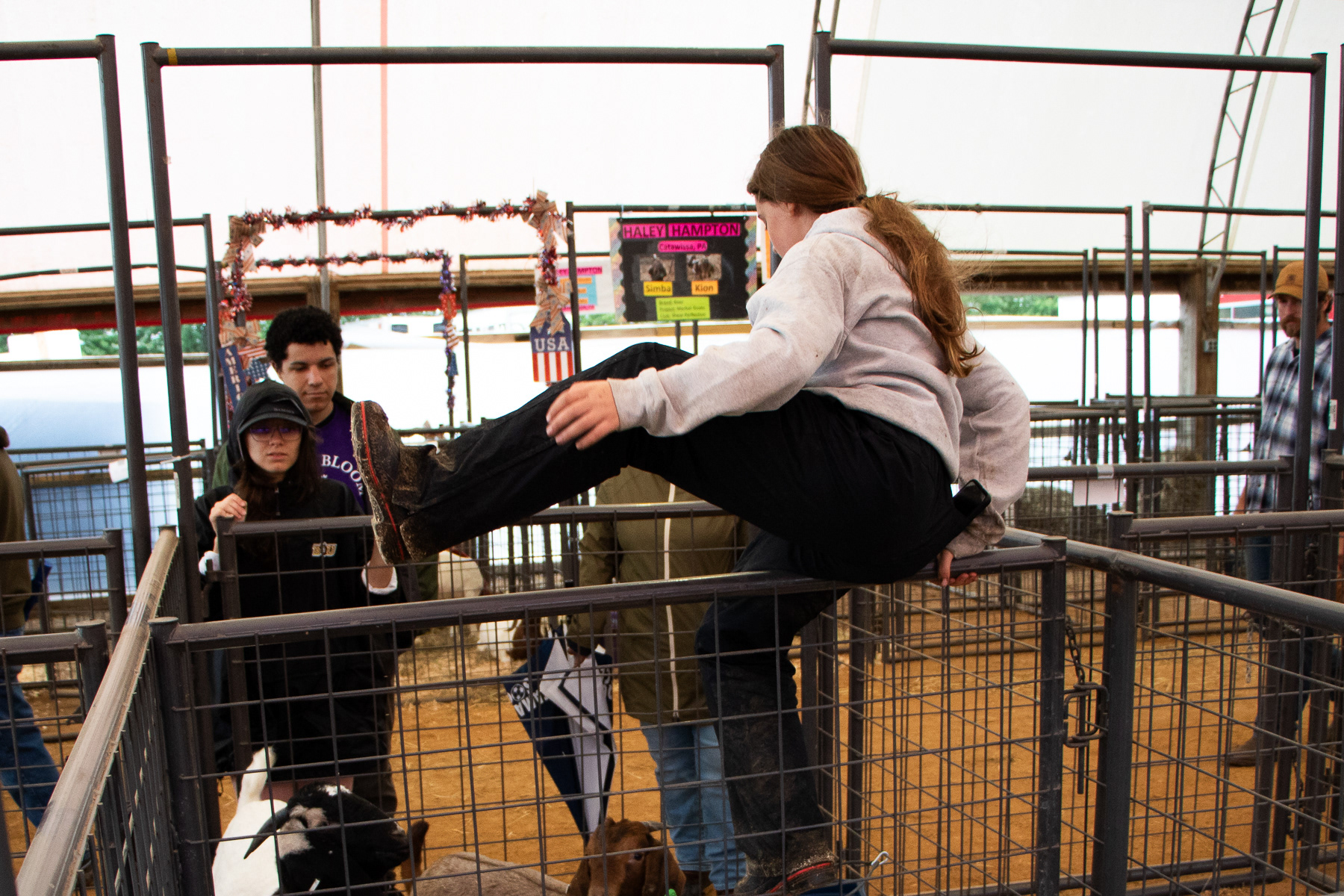 Brenna hops the lamb and goat fences while in the process of feeding them in the morning.