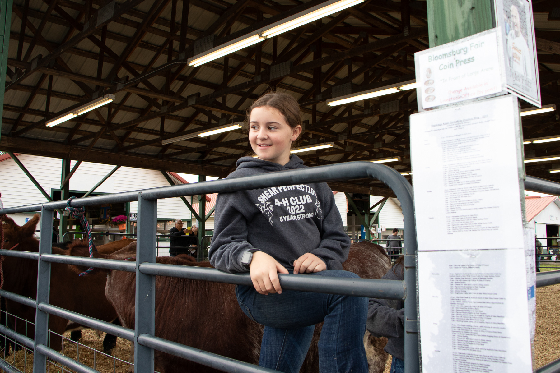 Brenna stands with her steer Alvin while high school students from a local school practice judging livestock, to eventually become professional.