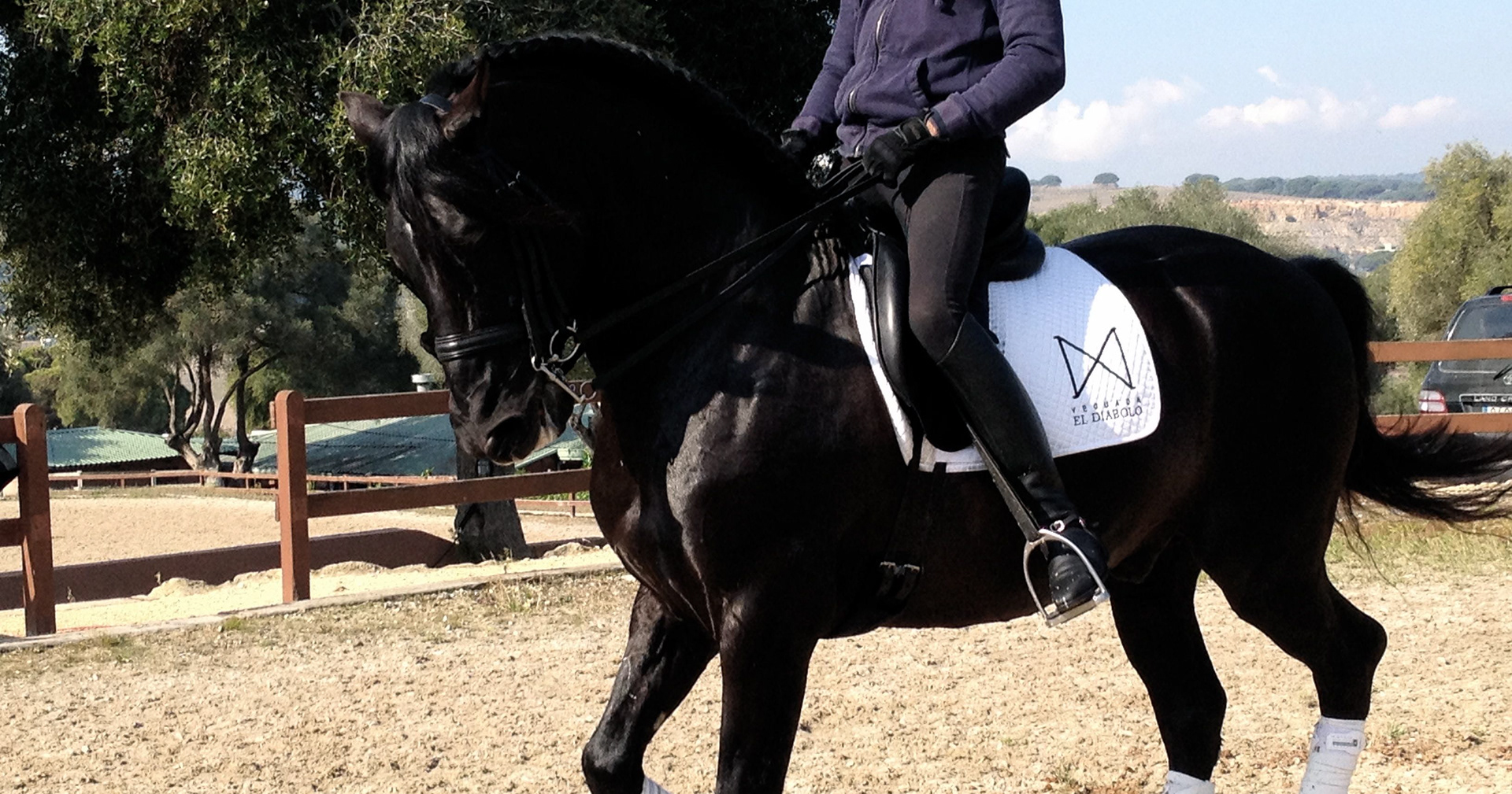 Inducida's brother Intruso X training with José Antonio Mena