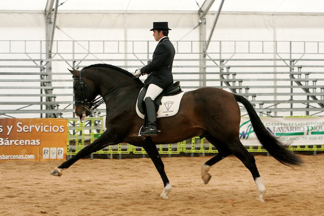 Gala's father Mariscal XLIX