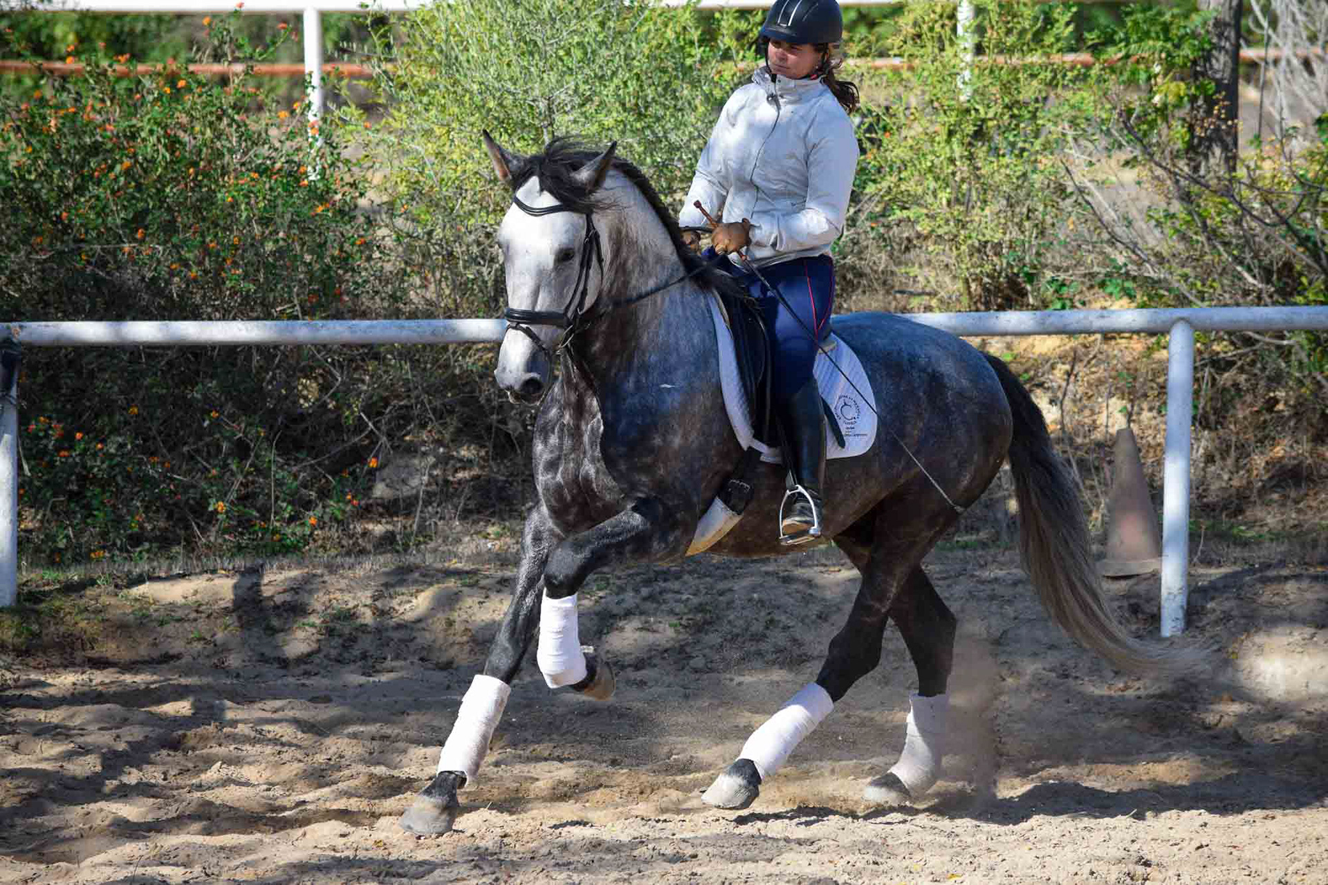 Alcázar Real 5 years & Teresa Ortiz © VCR 2019
