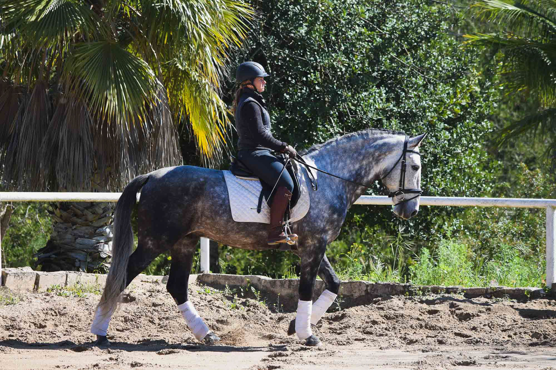 Alcázar Real 6 years & Teresa Ortiz © VCR 2020