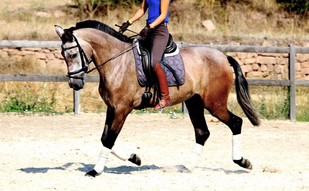 Hiedra VG, 3 years