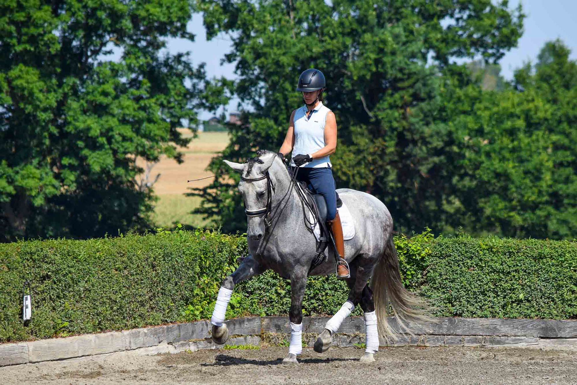 Dressage PRE 8 years © VCR