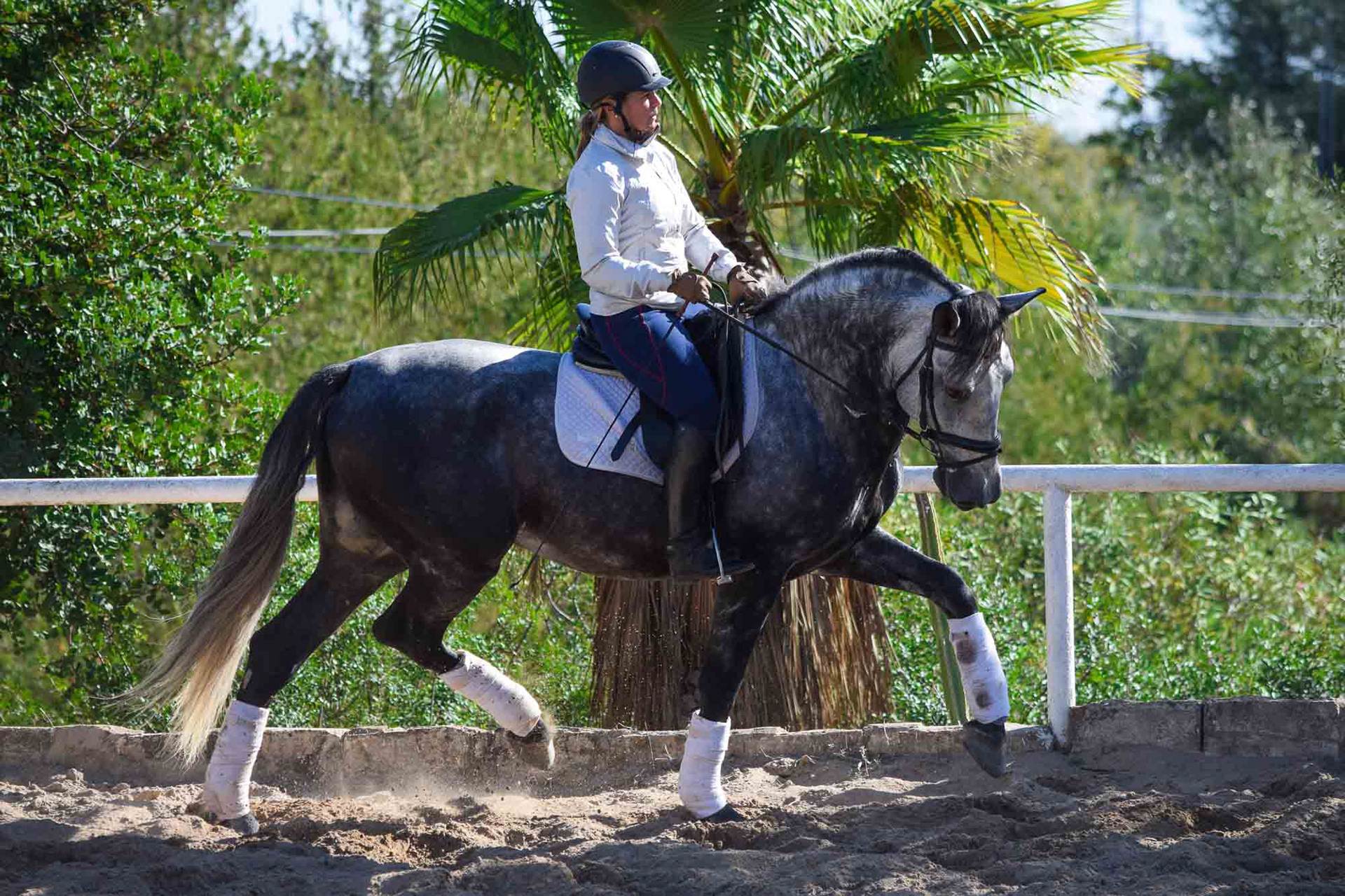 Alcázar Real 5 years & Teresa Ortiz © VCR 2019