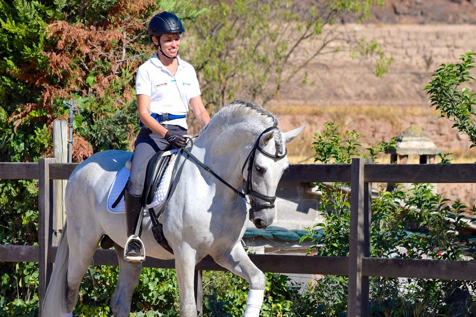 Dressage Class with PRE Stallion