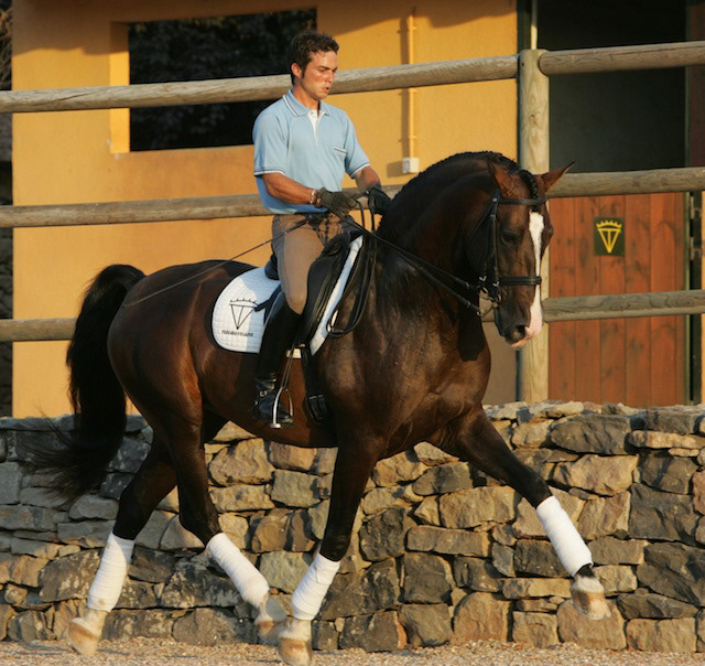 Gala's father Mariscal XLIX