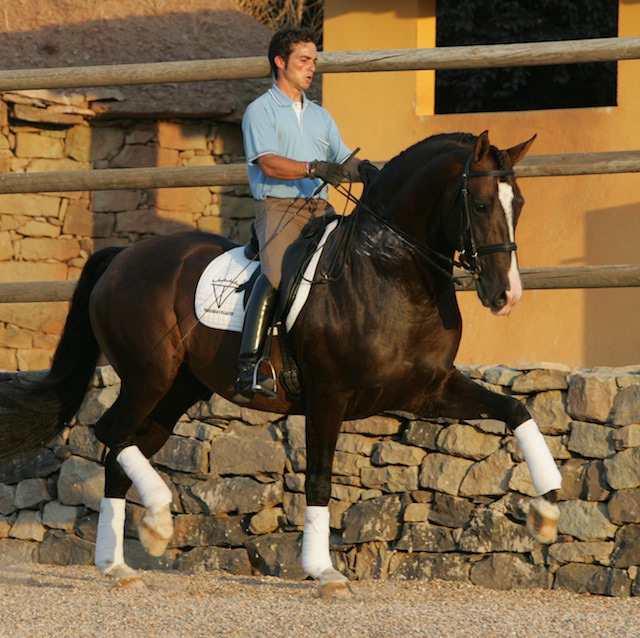 Gala's father Mariscal XLIX