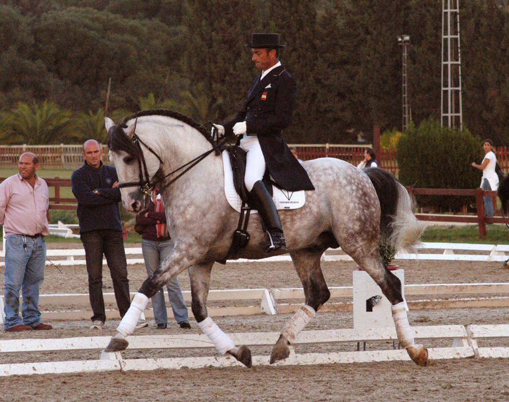 Fer Bulería and Carlos Torrell