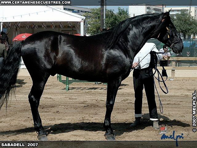 Inducida's brother Intruso X