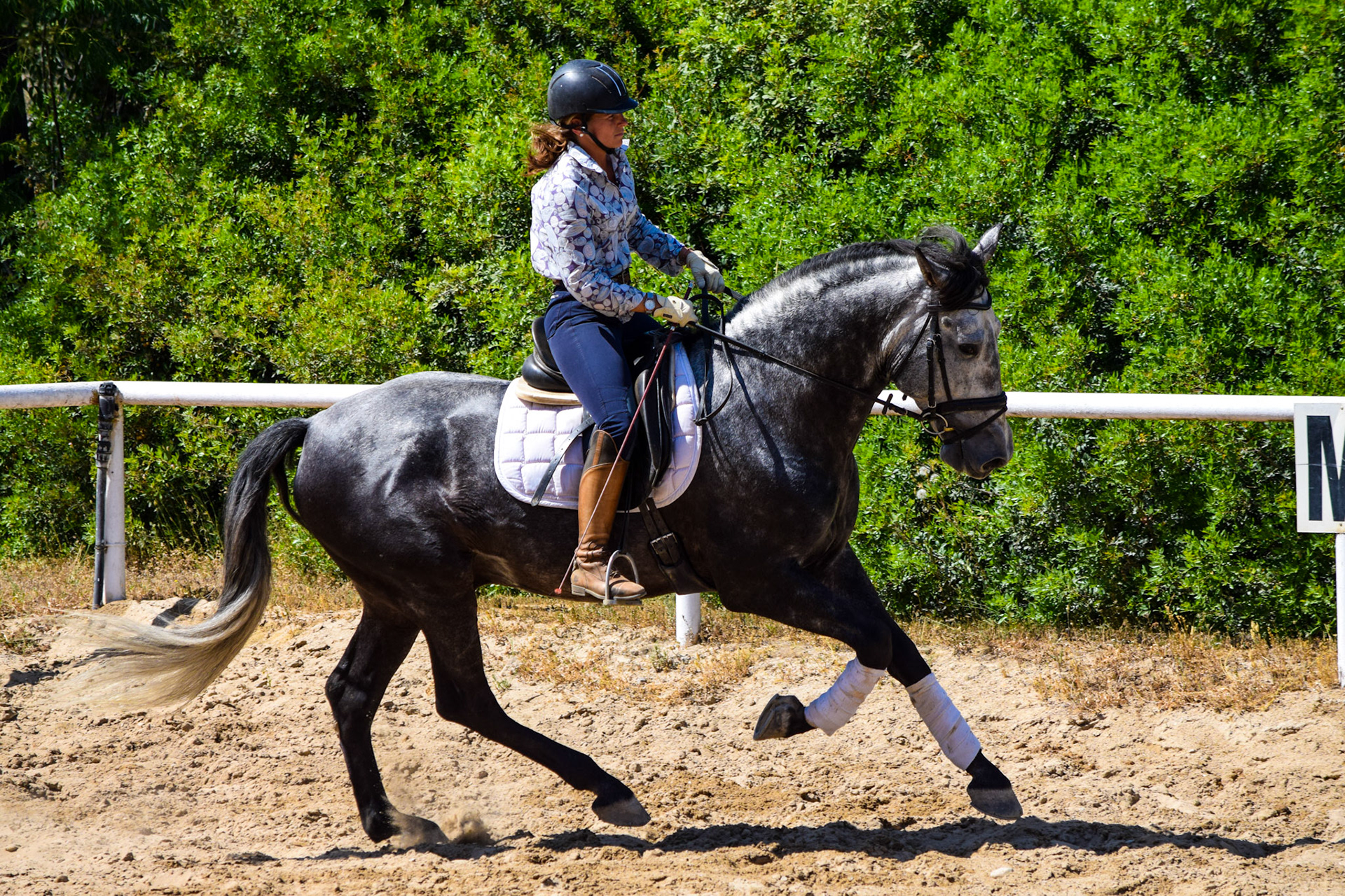 Alcázar Real 5 years & Teresa Ortiz © Valentina 2019