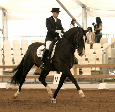 Mariscal XLIX © Velasco Gonzales