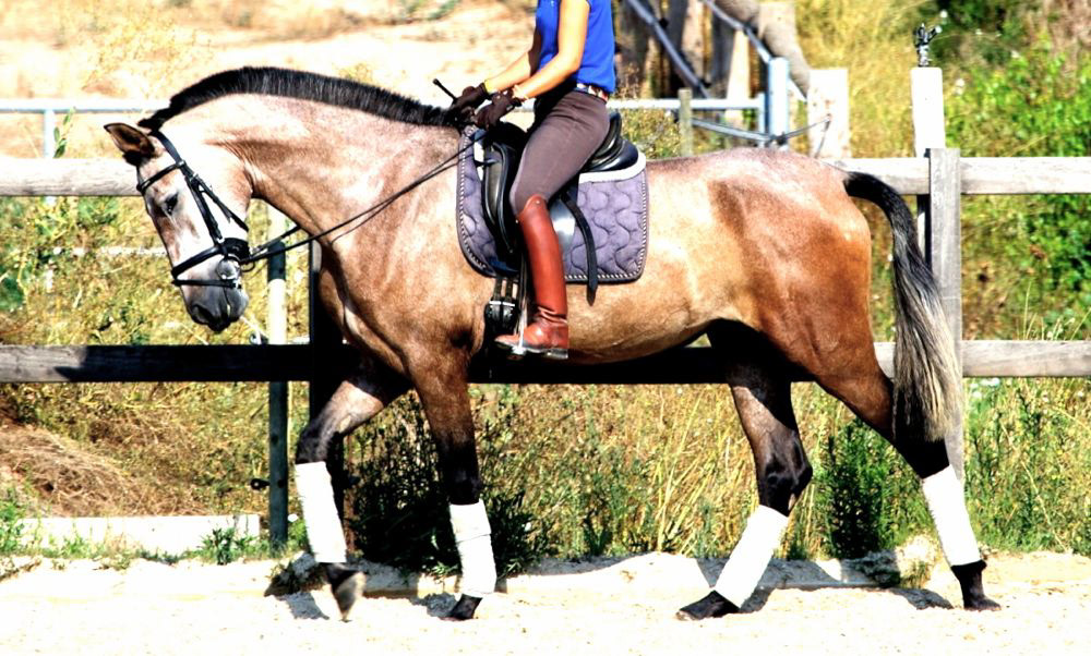 Hiedra VG, 3 years
