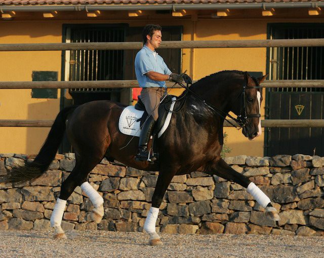 Gala's father Mariscal XLIX