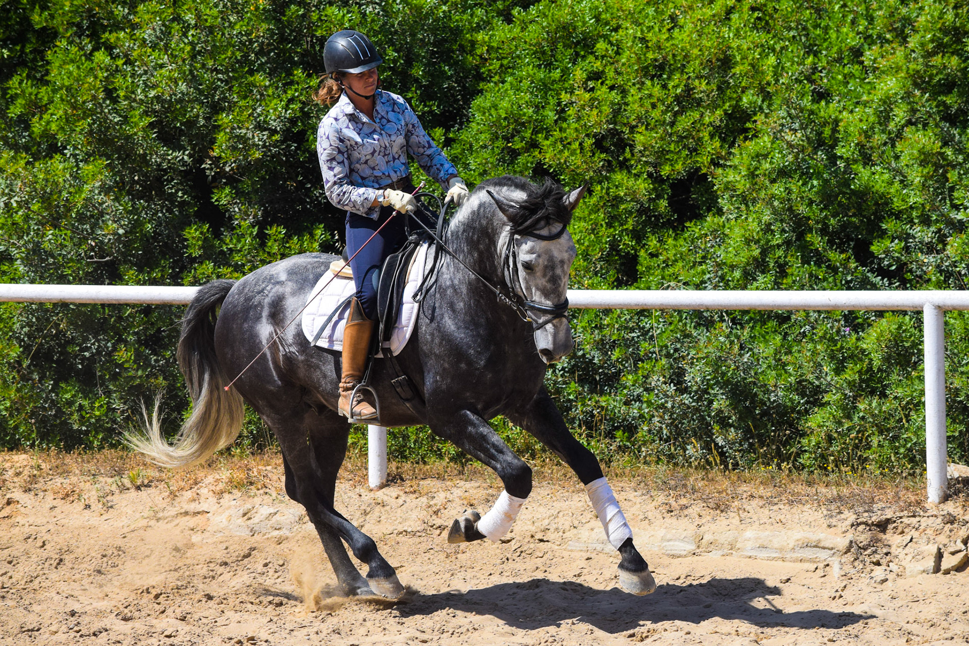 Alcázar Real 5 years & Teresa Ortiz © Valentina 2019