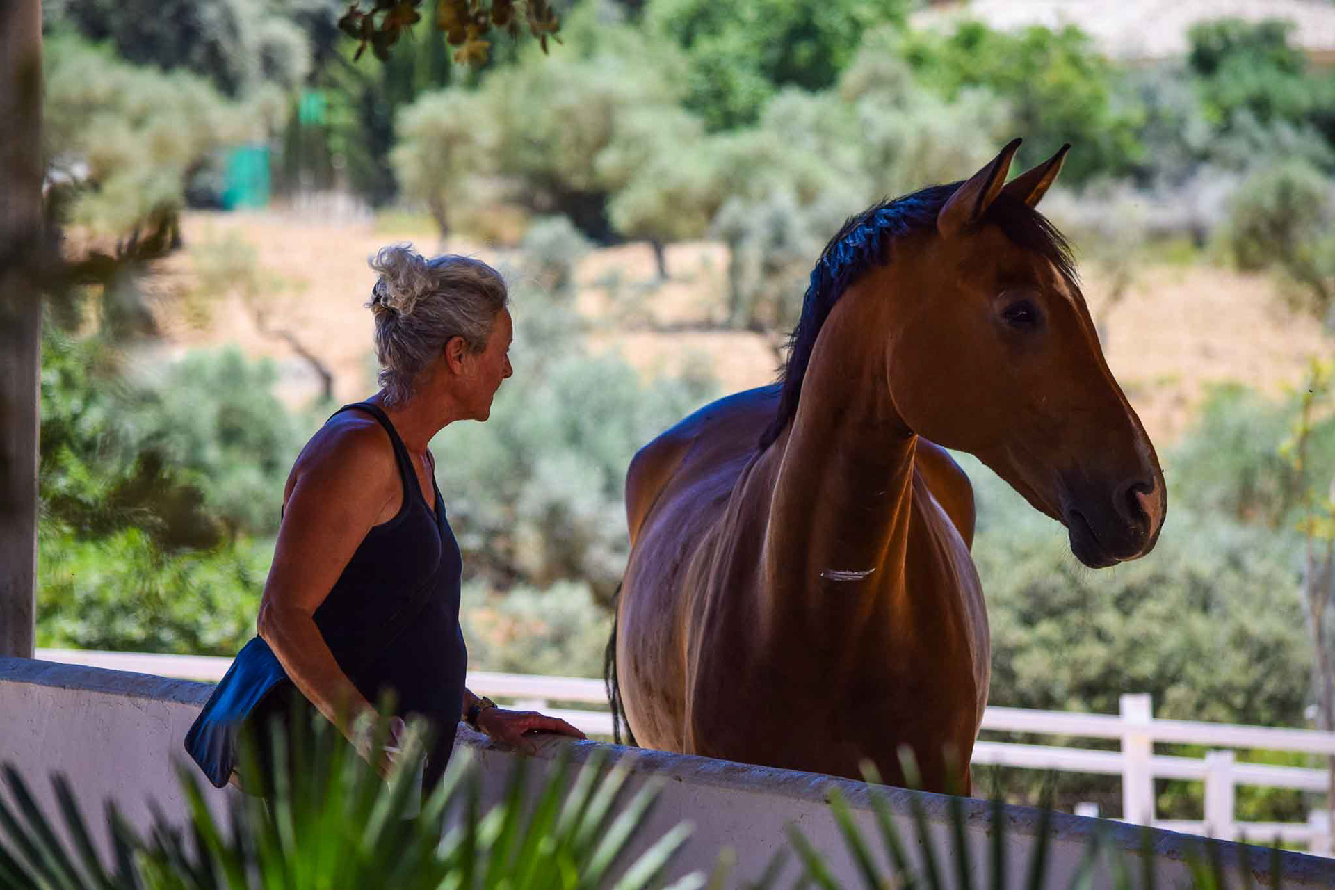 New Dressage Center in Andalusia