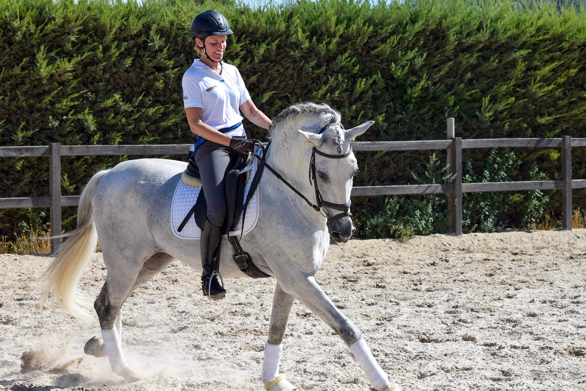 Dressage Class with PRE Stallion