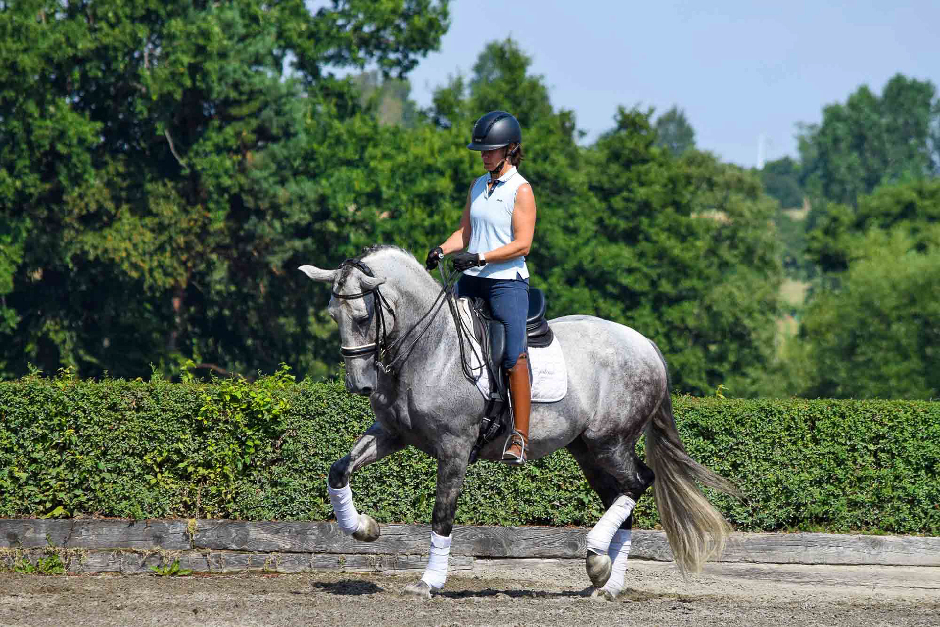 Dressage PRE 8 years © VCR