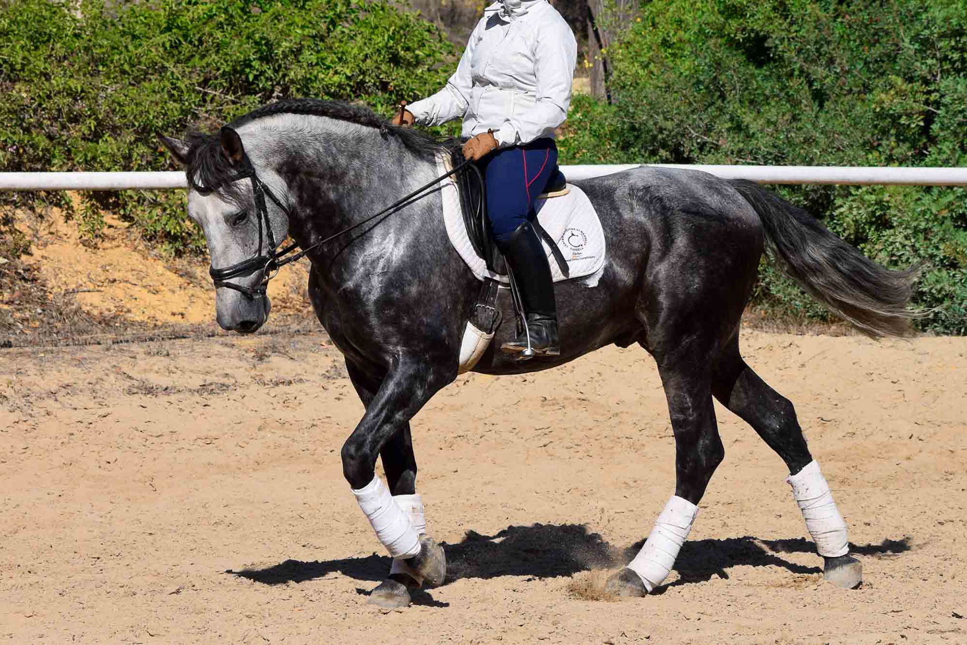 Alcázar Real 5 years & Teresa Ortiz © VCR 2019
