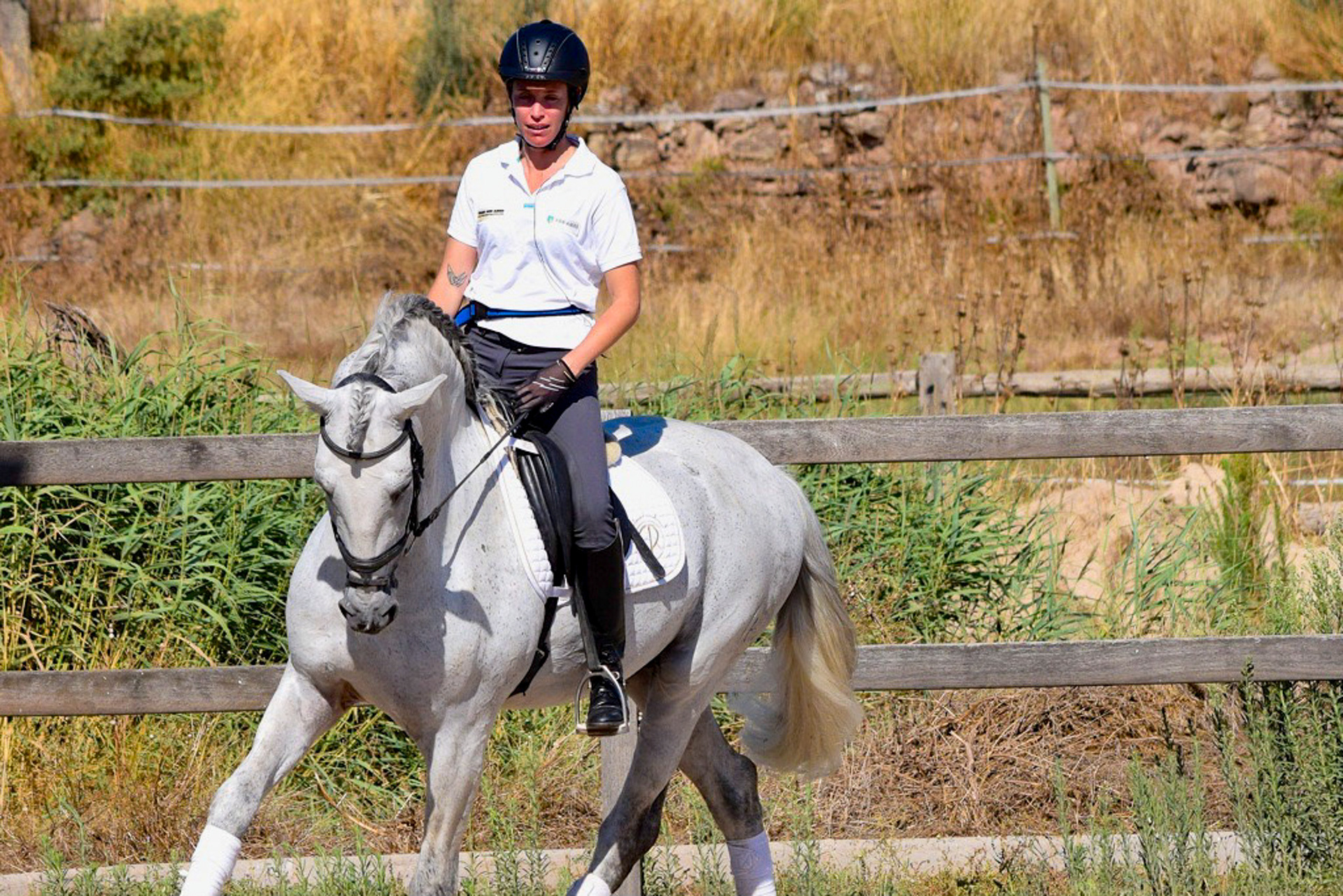 Dressage Class with PRE Stallion