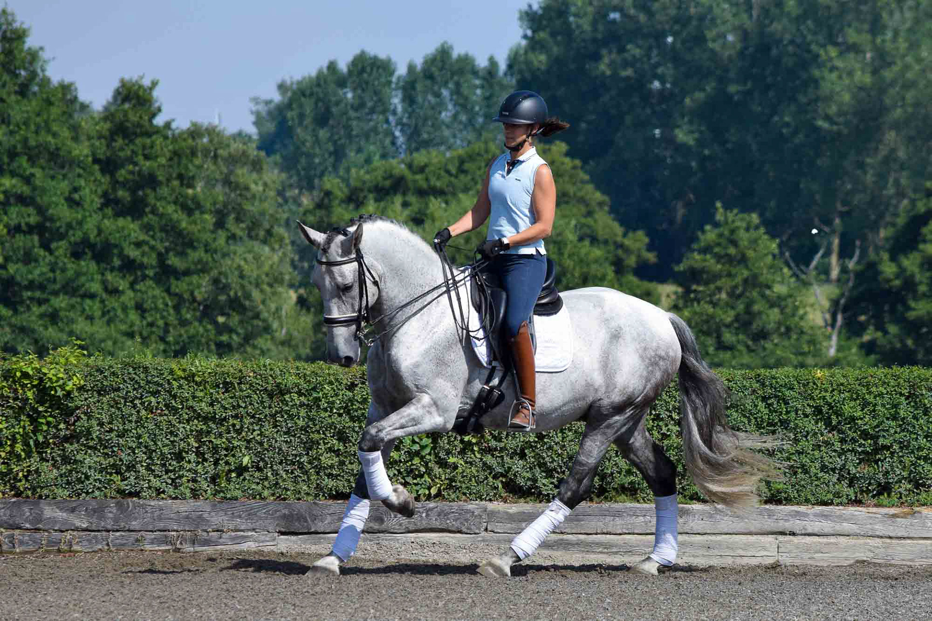 Dressage PRE 8 years © VCR
