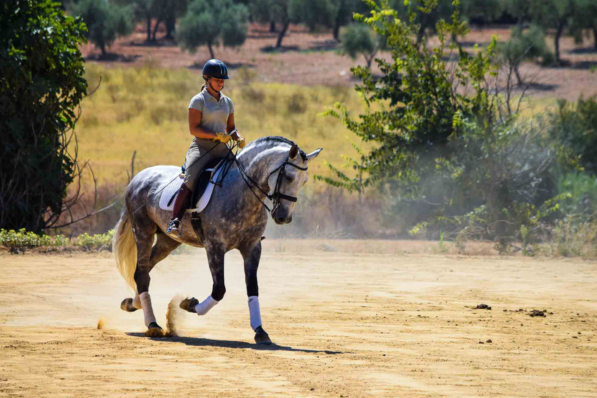 Alcázar Real 6 years & Teresa Ortiz © VCR 2020